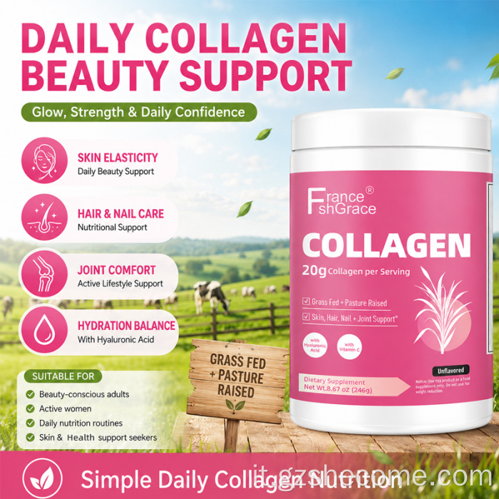 Shecome Collagen Zero Sugar Peptidi di collagene marino in polvere